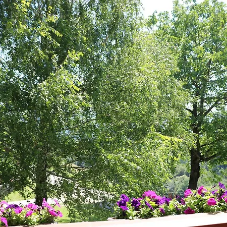 Gaestezimmer Weisch Apartamento Leutschach