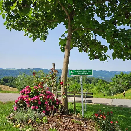 Gaestezimmer Weisch *