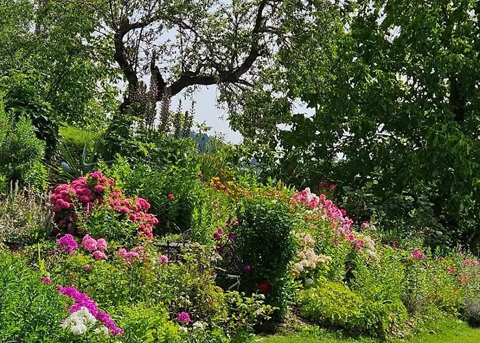 Apartment Gästezimmer Weisch